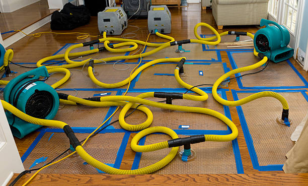 Professional Flood Damage Restoration technician working in Northeast Harbor, ME